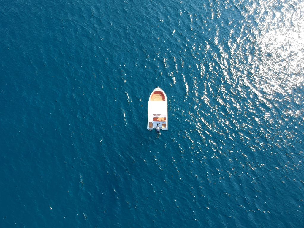 Barracuda by air