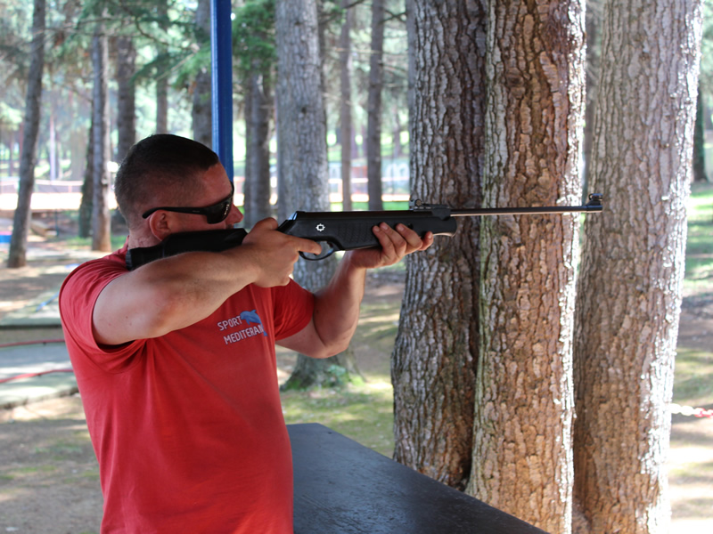 air rifle