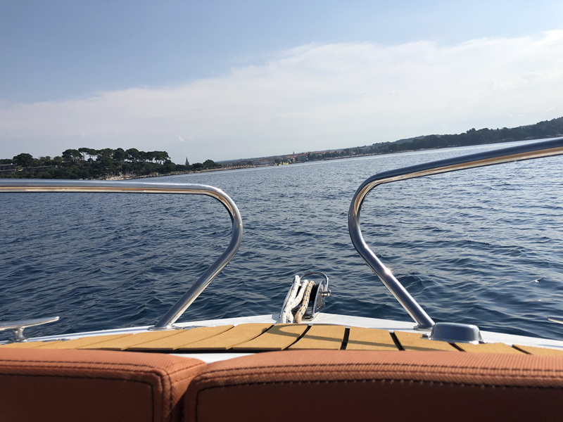 barracuda sea view