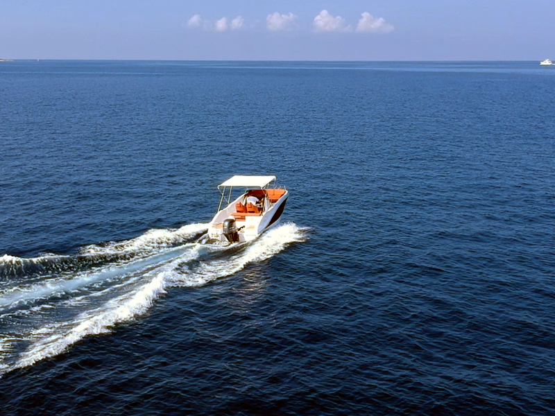 Oki Barracuda speed